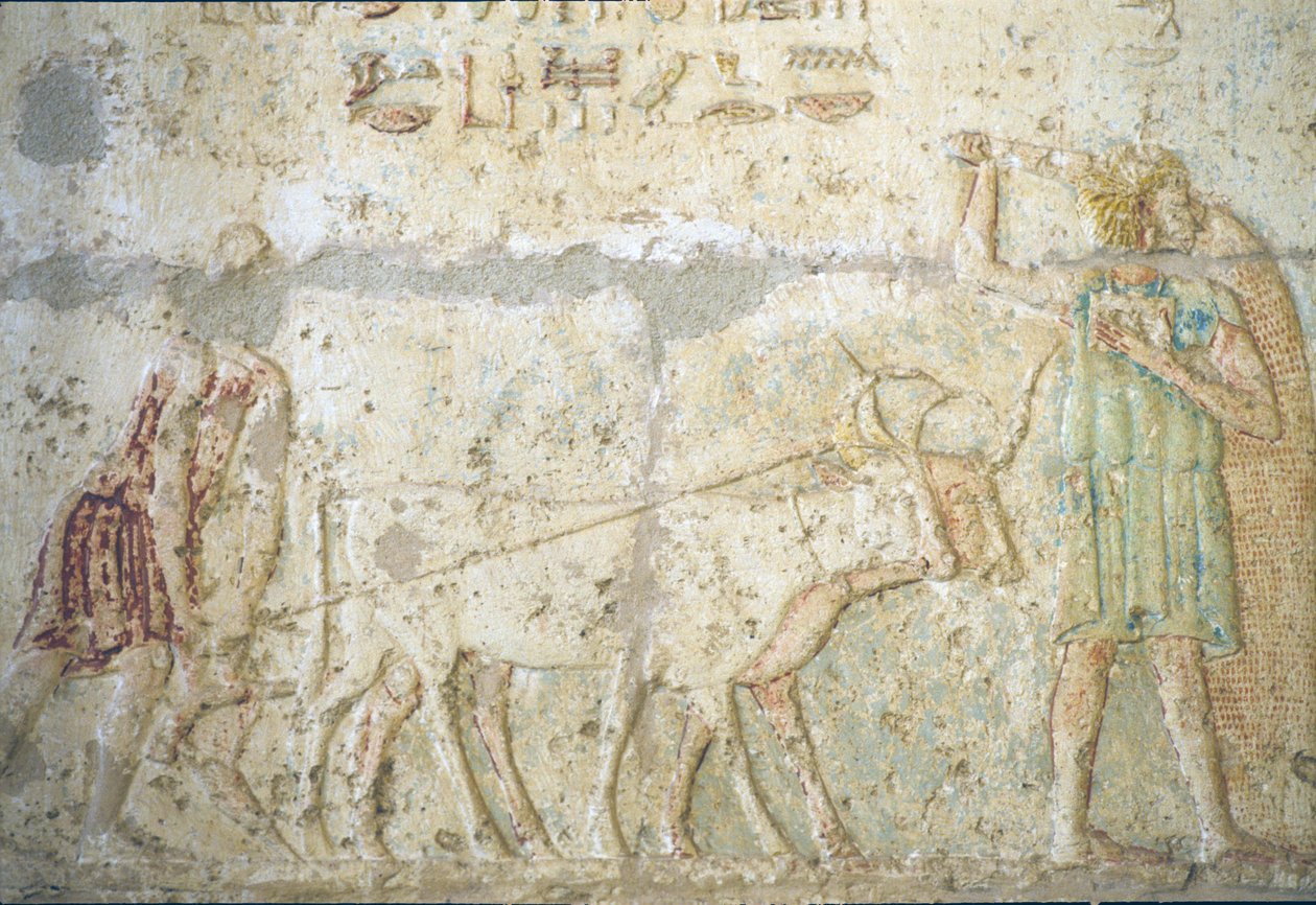  av School Egyptian