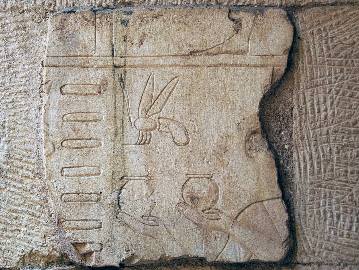 Detalj av et relieff, Luxor (stein) av School Egyptian
