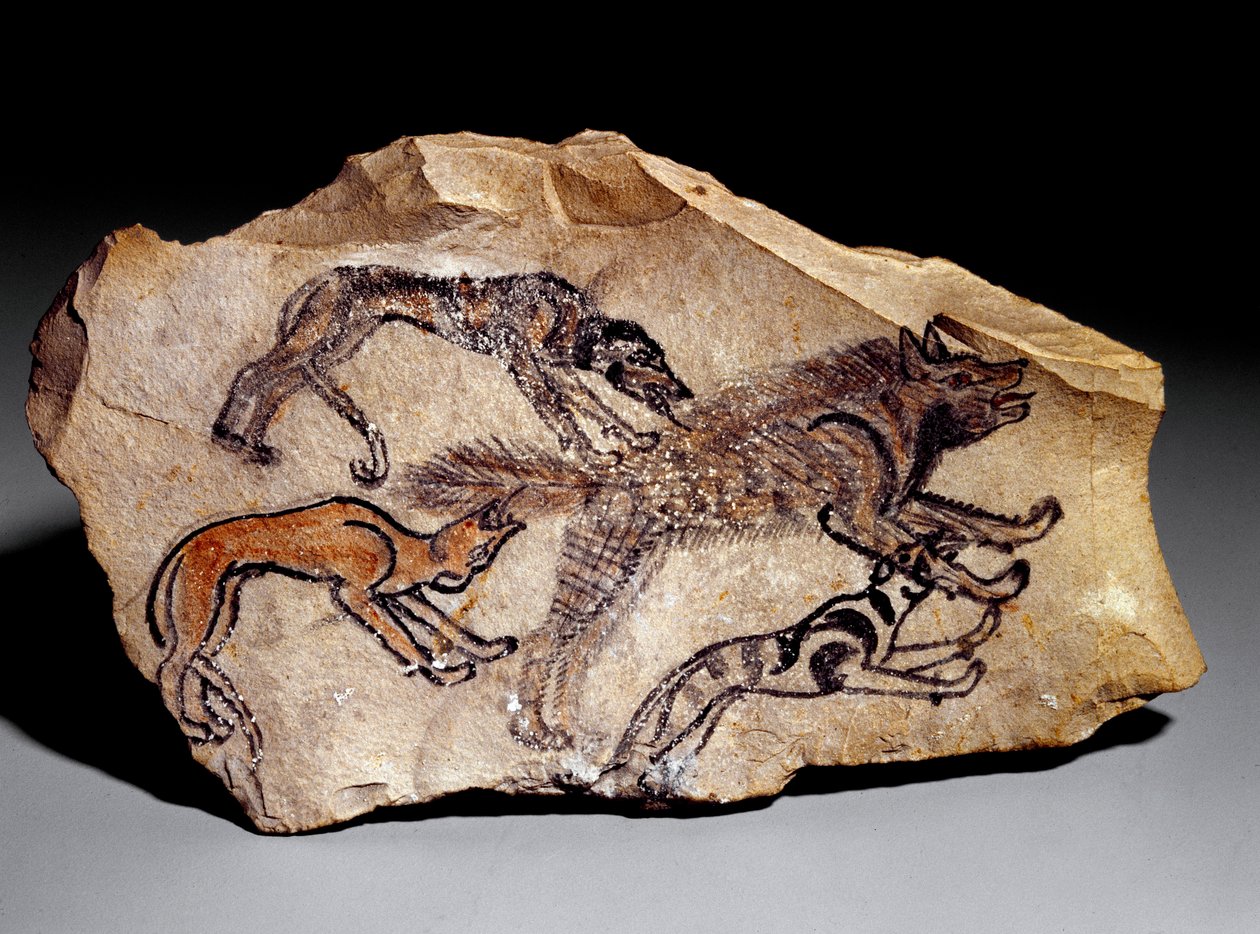 Hunder som jakter på hyene (steingravering, ca. 1300-1100 f.Kr.) av School Egyptian