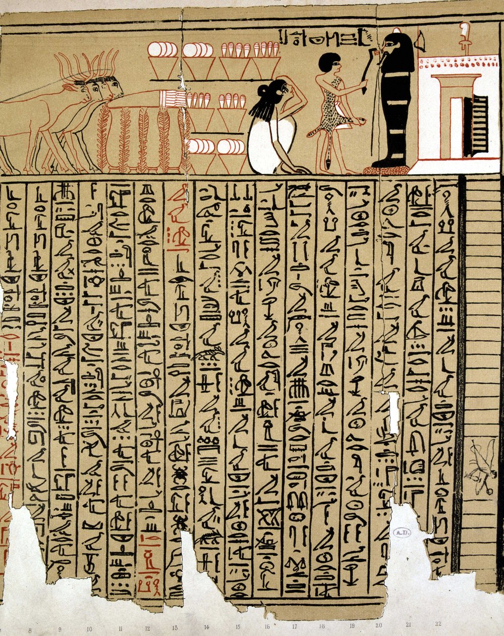 Egyptiske hieroglyfer av School Egyptian