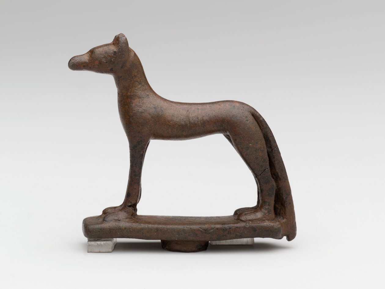 Sjakal eller hund (bronse) av School Egyptian