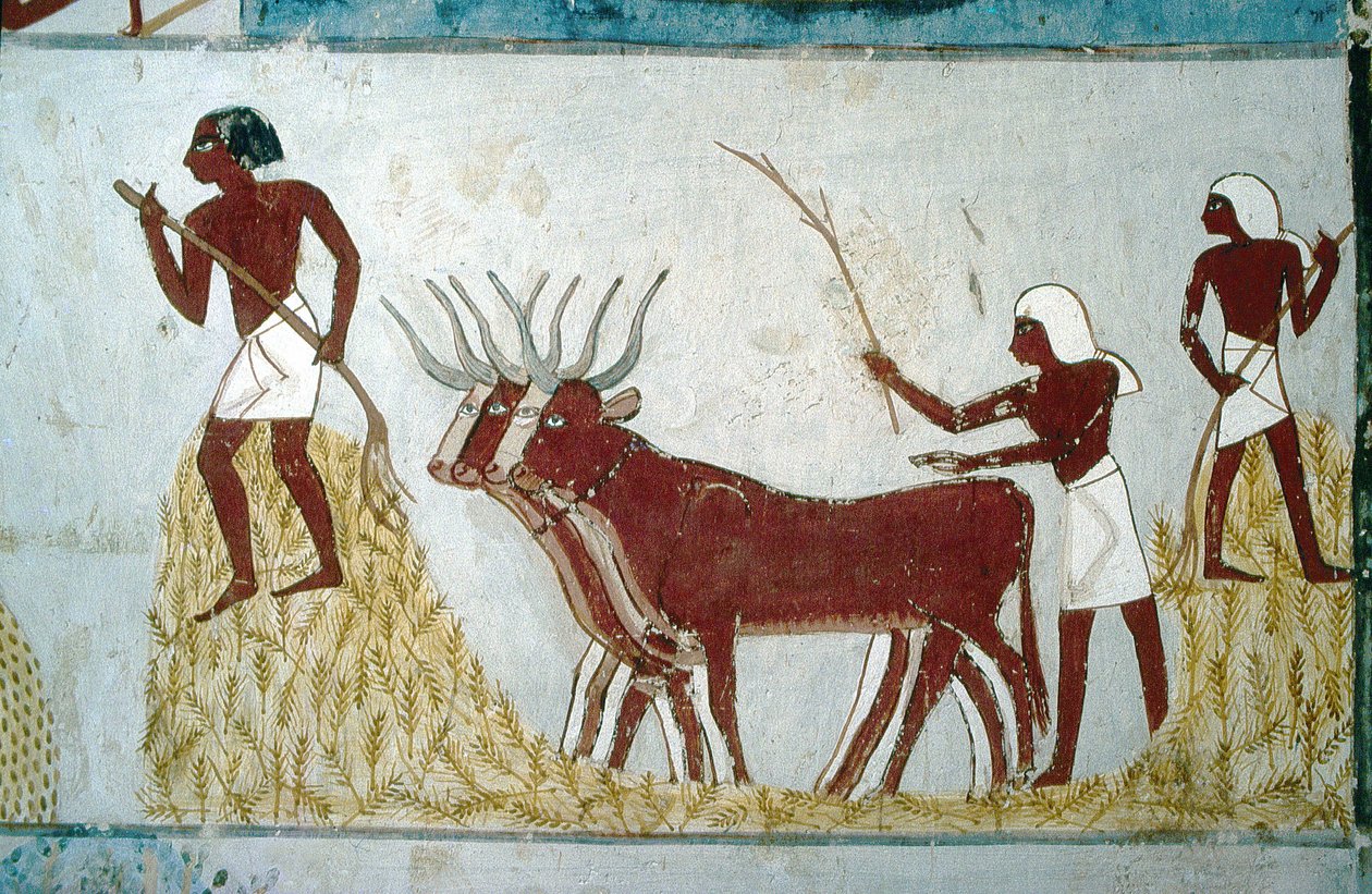  av School Egyptian