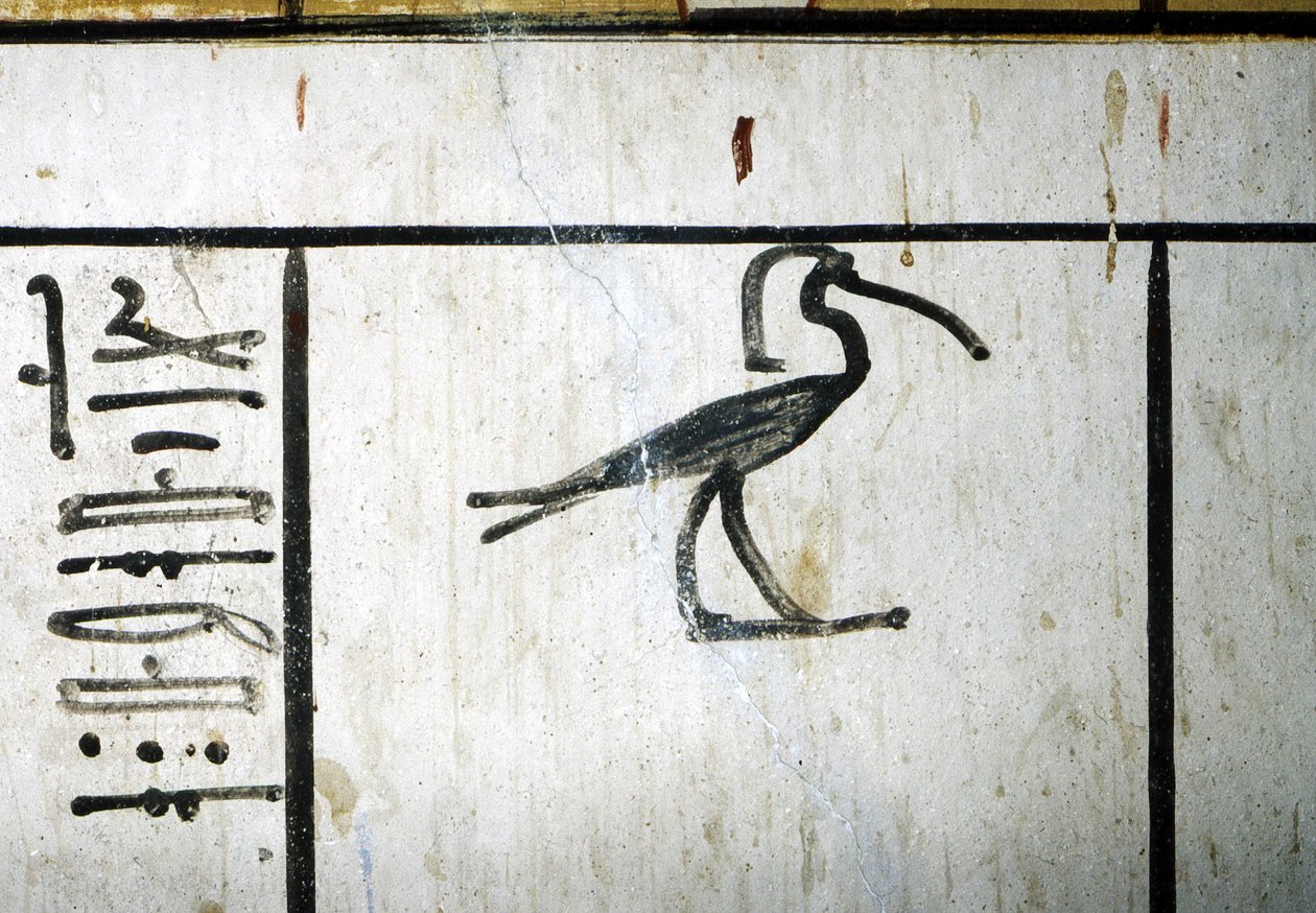  av School Egyptian