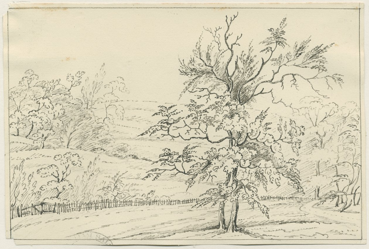 Cannock Chase: penn- og blyanttegning, nd [?1800-tallet] (tegning) av School English