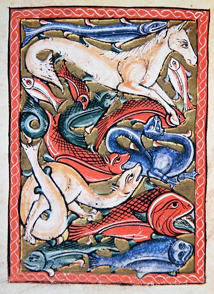 Fisk og sjødyr, faksimile av en manuskriptminiatyr fra 1100-tallet (farge litho) av School English