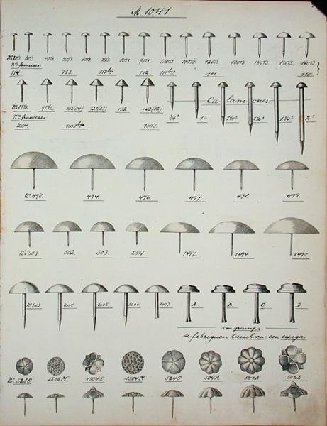 Spiker, stifter og stifter, fra en handelskatalog over husholdningsvarer og beslag, ca. 1890-1910 (lito) av School English