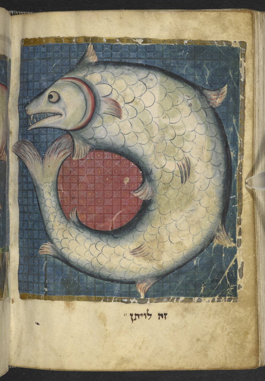 Legg til MS 11639 f.518v The Leviathan, fra en mengde av bibelske og andre tekster (