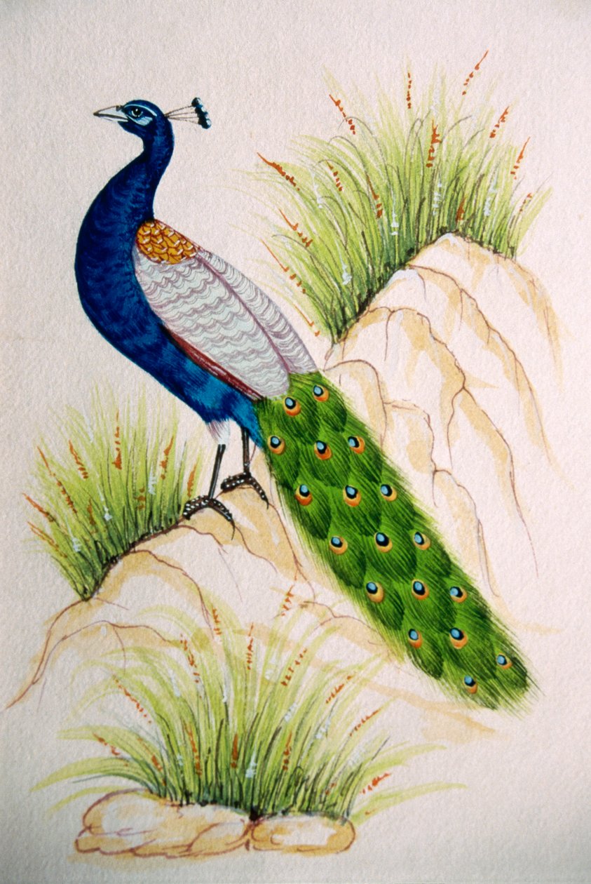  av School Indian