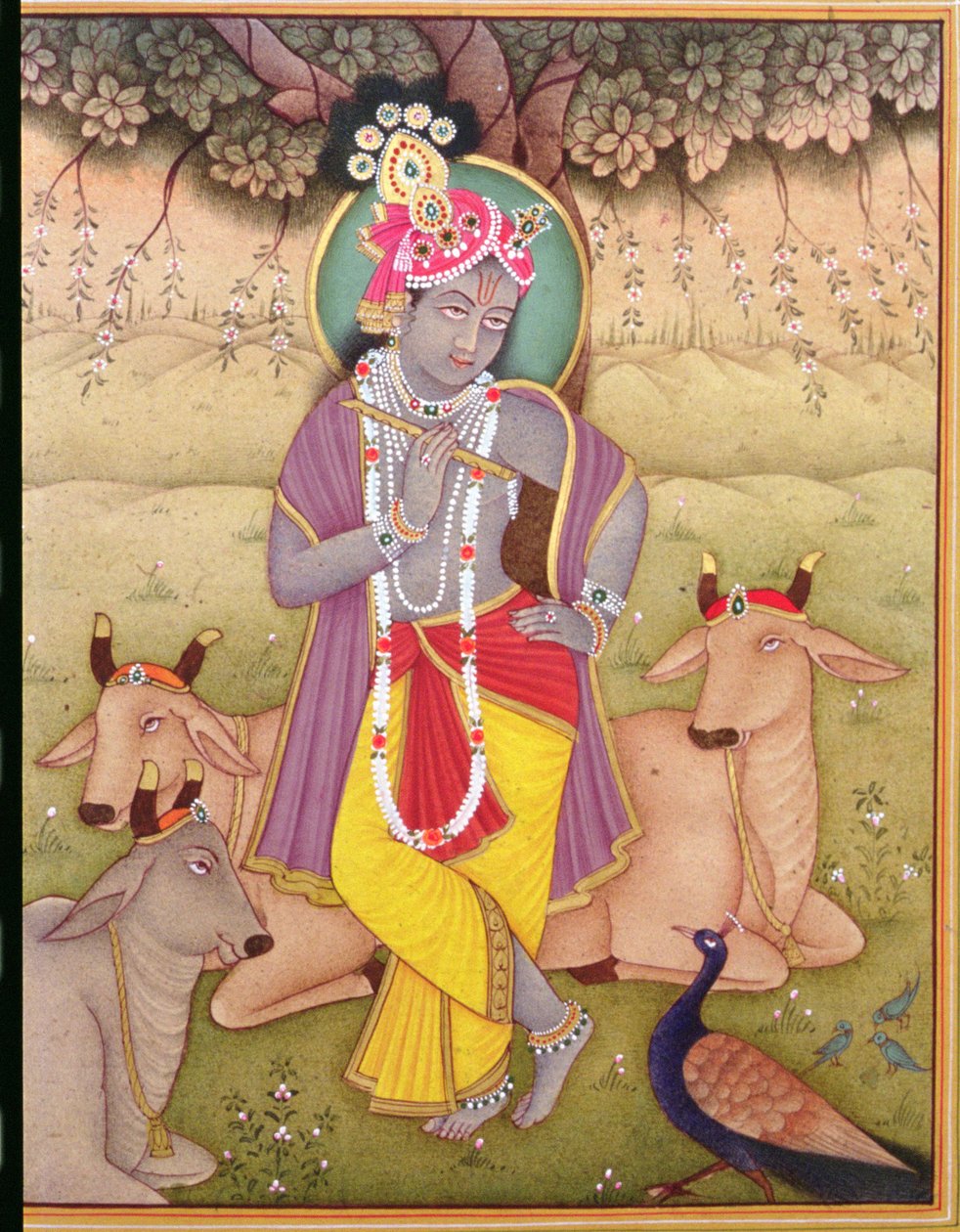  av School Indian