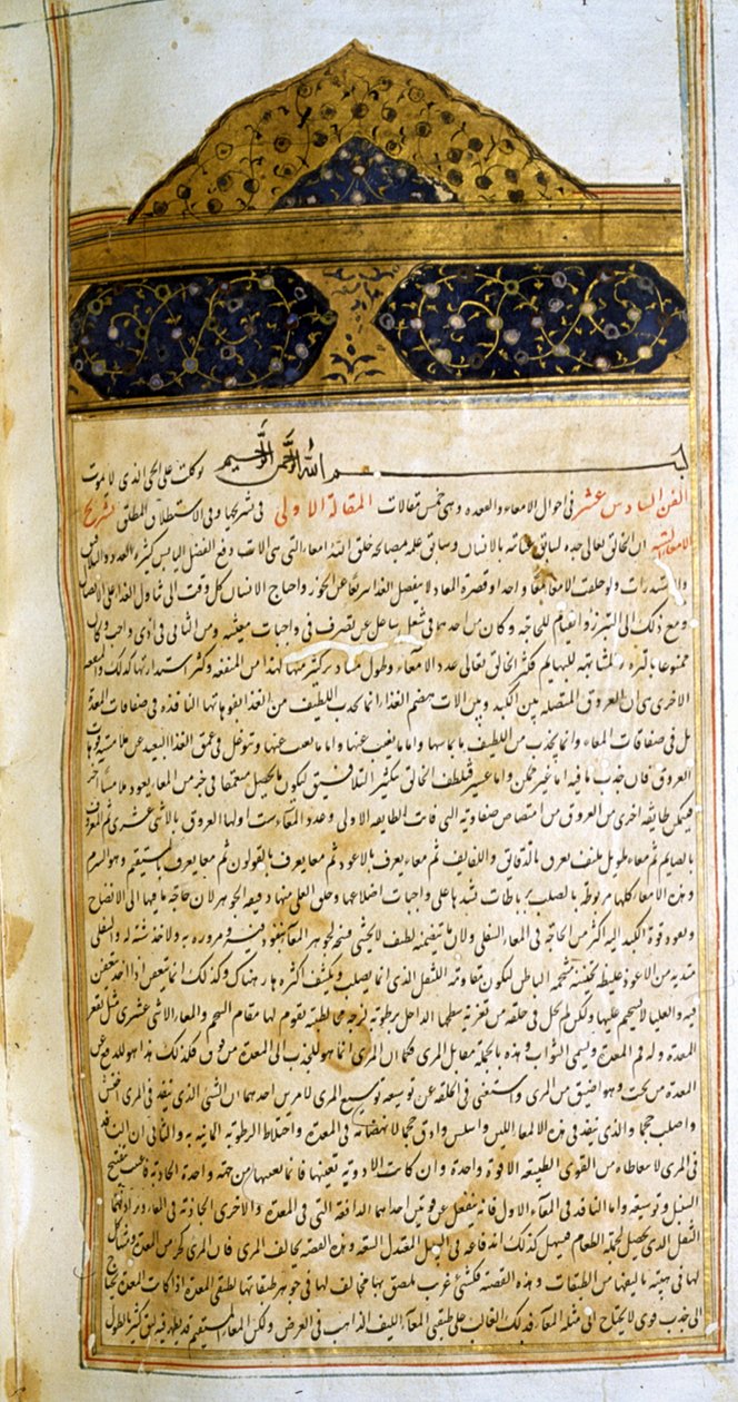 Side fra The Canon of Medicine (al-Qānūn fī aṭ-Ṭibb) av Avicenna av School Iranian