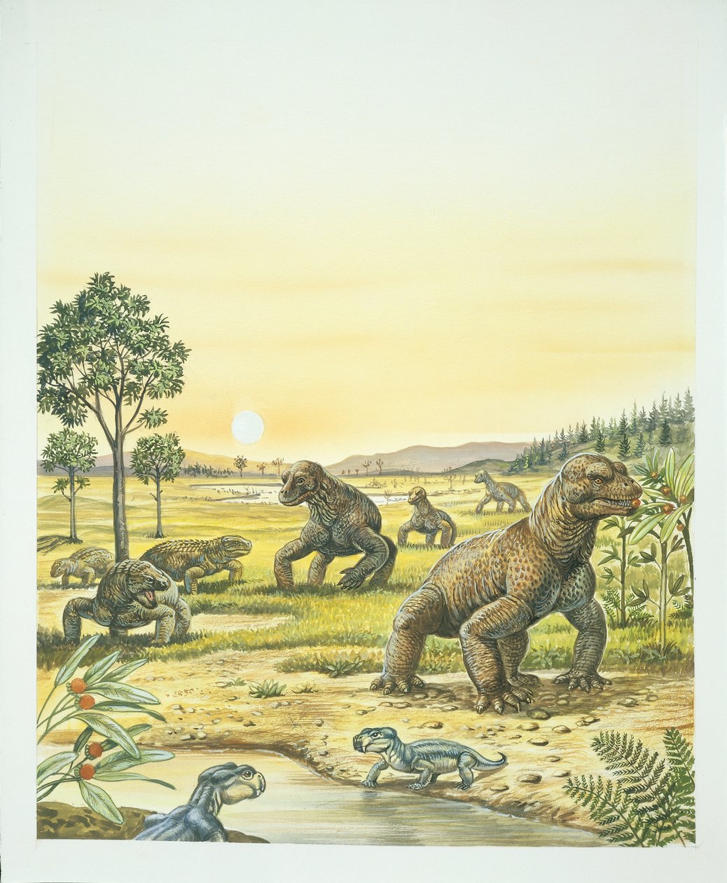 Anomodonts, forgrunn, Pareisaurs, venstre, og dinocefalianere, høyre, paleozoikum, perm periode (farge litho) av School Italian