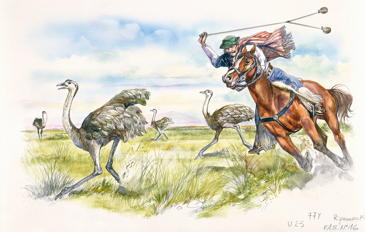 Argentina - gjetere som jakter på rheas i Pampas (farge litho) av School Italian