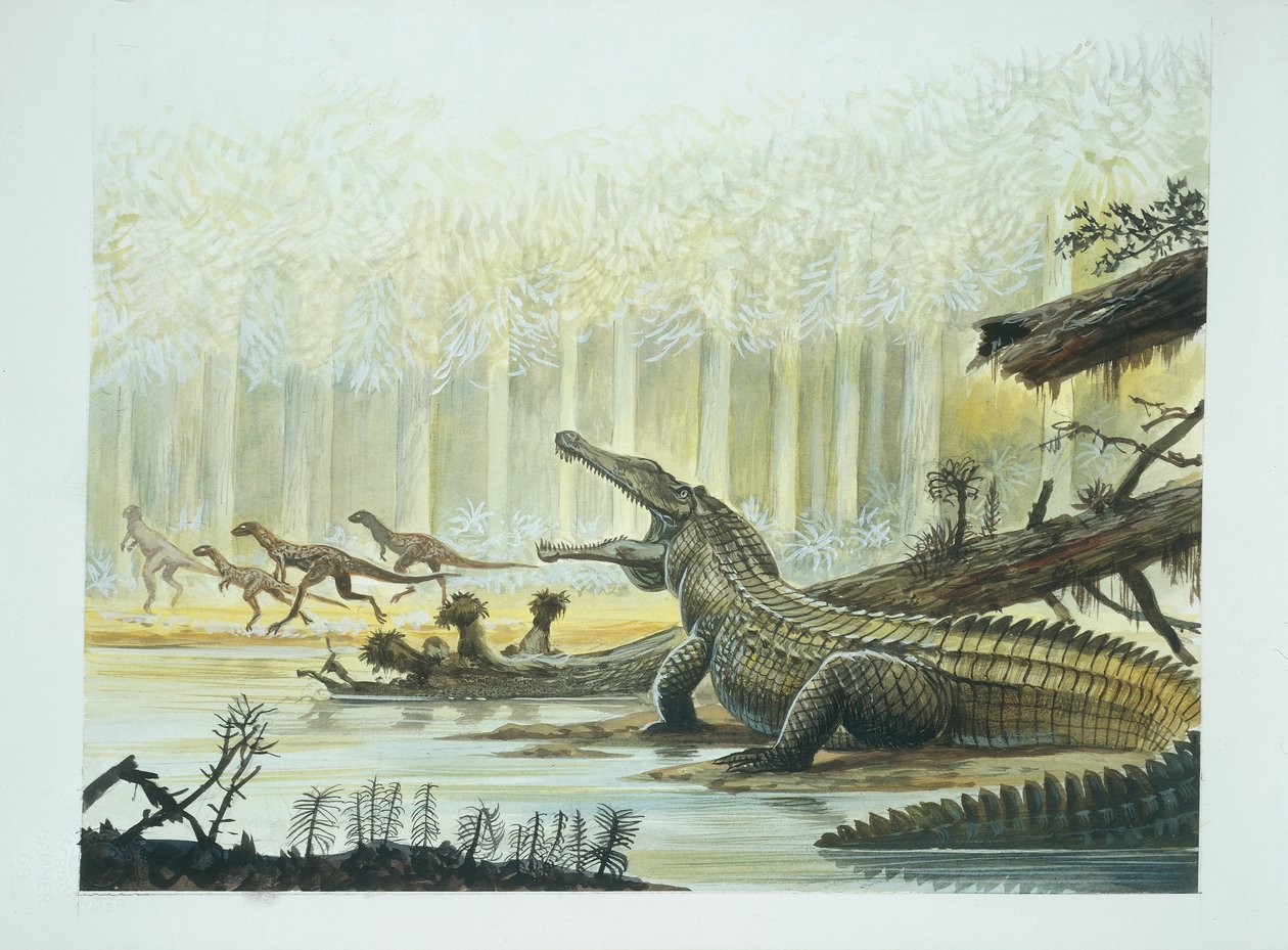 Rutiodon med Fabrosaurus i bakgrunnen, triasperiode (farge litho) av School Italian