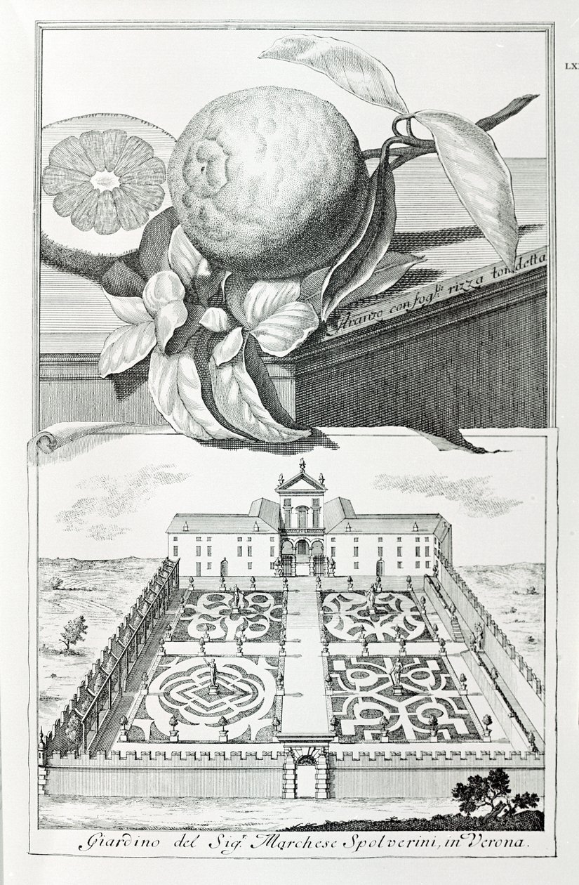 Villa til Marquis Spolverini av Verona, fra "Villaer, hager og landskap i Venezia" av A. Volkamer (gravering) av School Italian