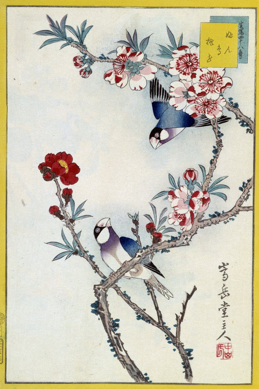 Fugler i et blomstrende tre - japansk trykk av Japanese School