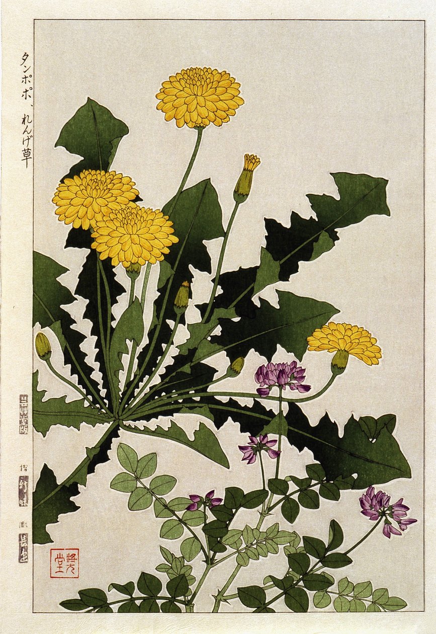 Løvetannblomster - japansk trykk av Japanese School