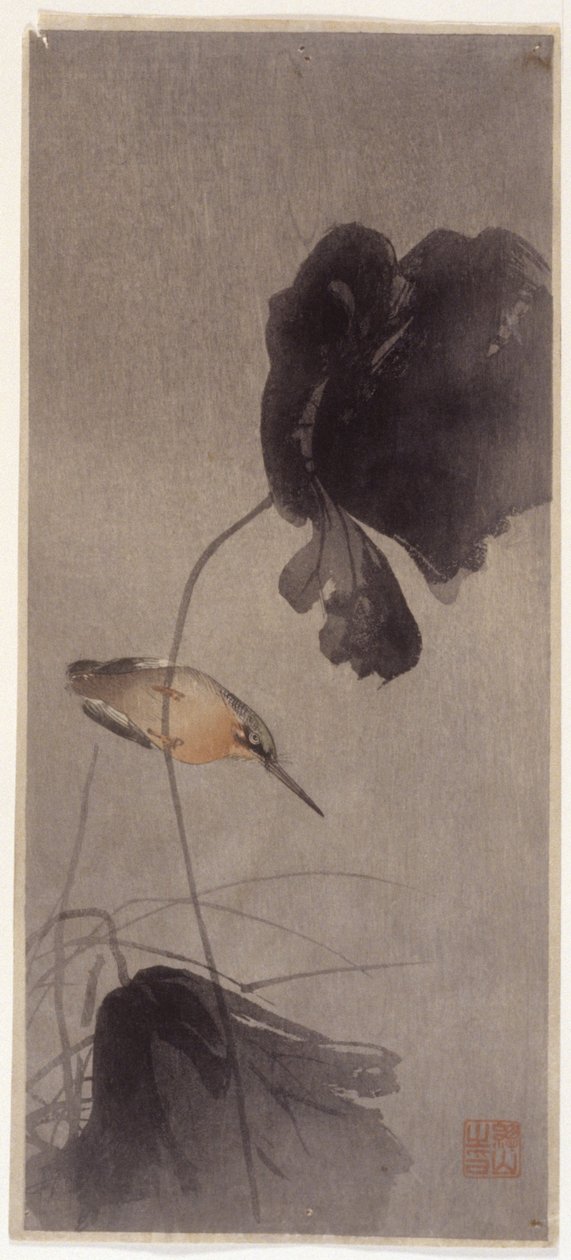 Kingfisher av School Japanese