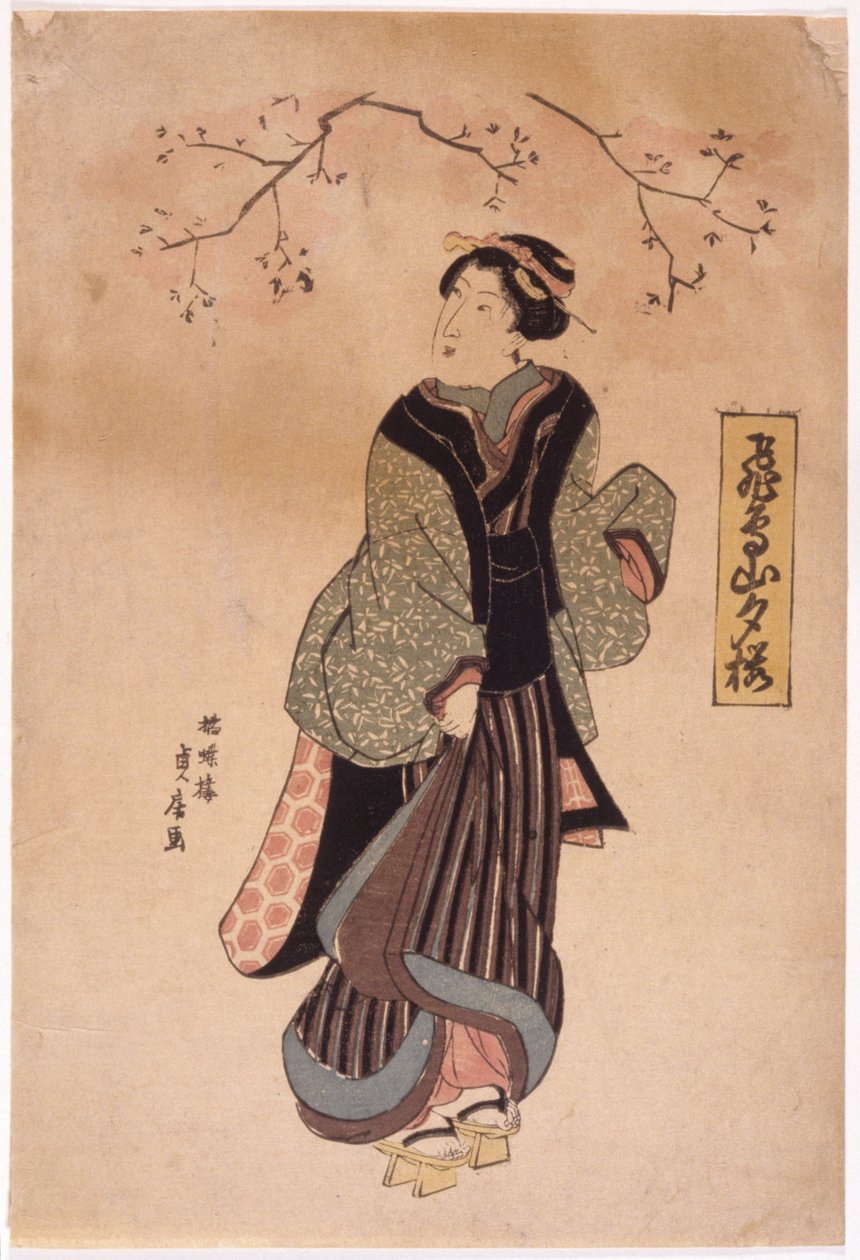 farge tresnitt (blekk) av School Japanese