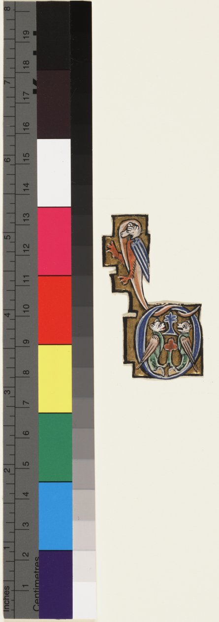 Initial D, fra en psalter-timer, ca. 1270 (gull og tempera på vellum) av School Mosan