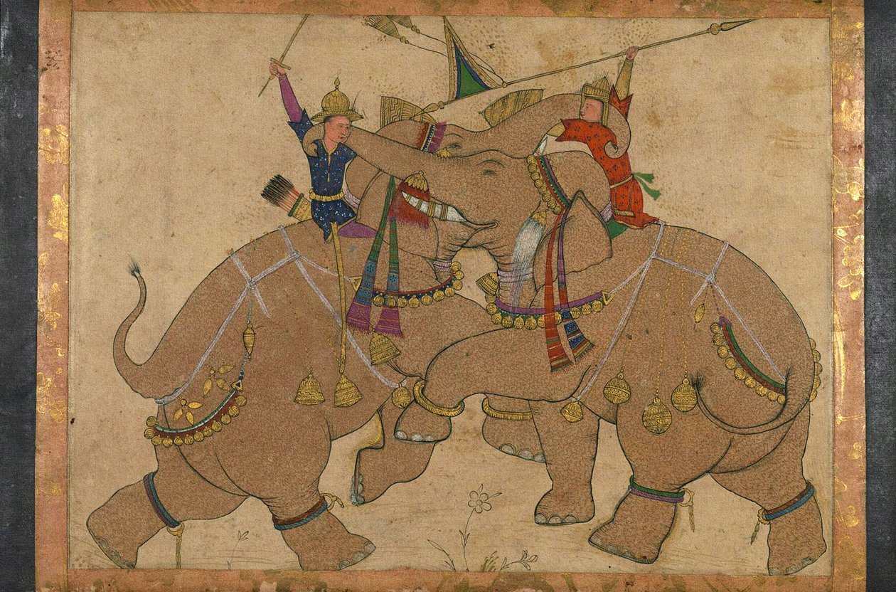 Elephant Combat (blekk, pigmenter på papir montert på papp) av School Mughal