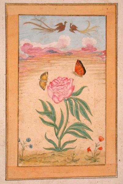 Blomstrende planter med paradisfugler og sommerfugler, fra Small Clive Album (gouache på pergament) av School Mughal