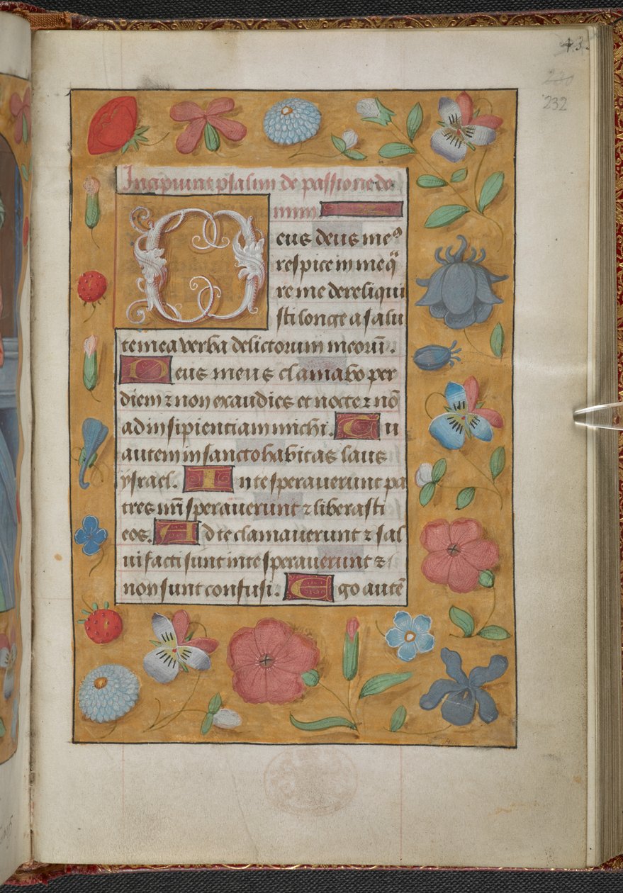 Kongebok 9, f.232r, Timebok, bruk av Sarum (#39;Anne Boleyns timebok#39;) (vellum) av School Netherlandish