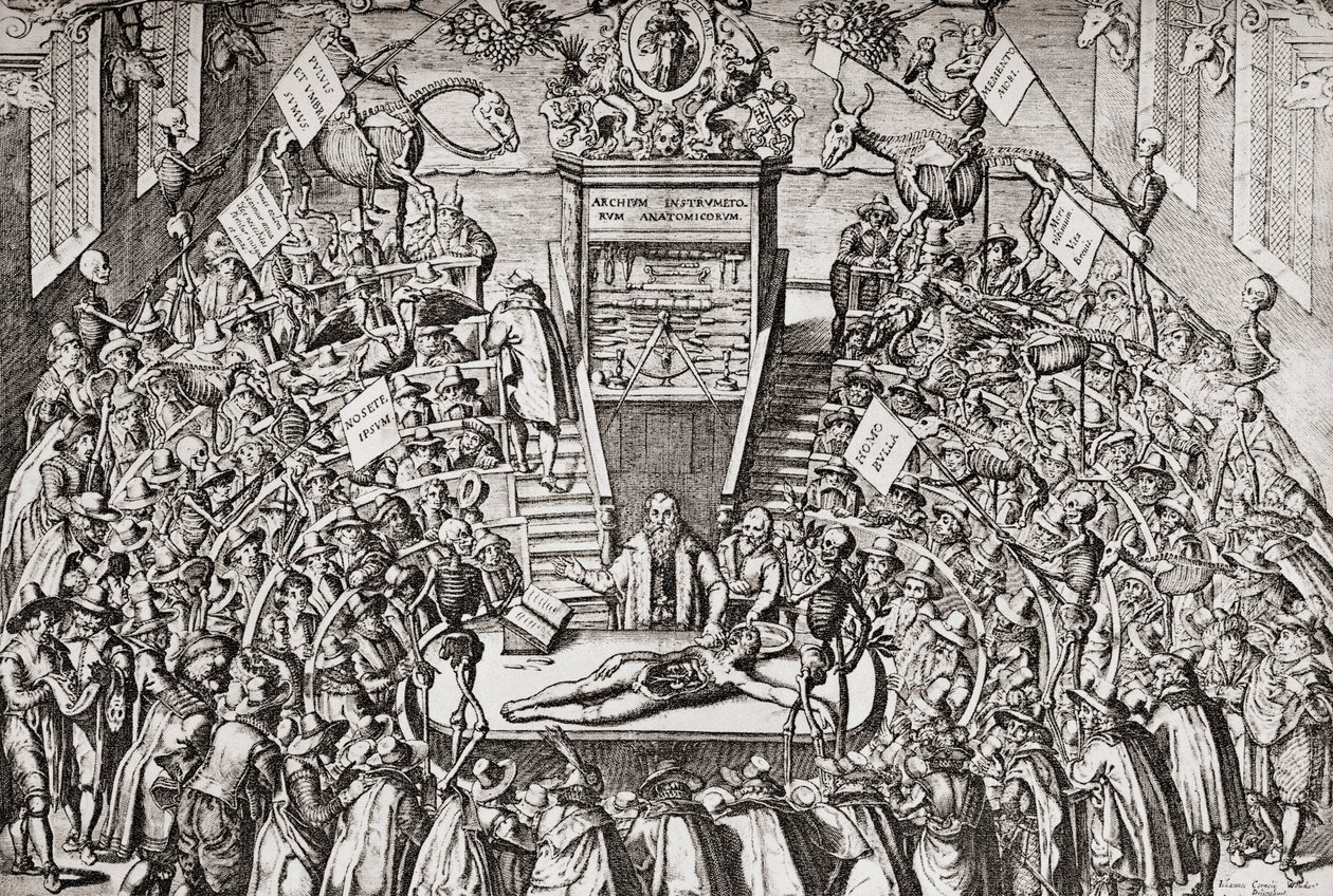 Studenter som går på en anatomiklasse ved Leiden University, fra #39;Geschiedenis van Nederland#39;, pub. 1936 (trykk) av School Netherlandish
