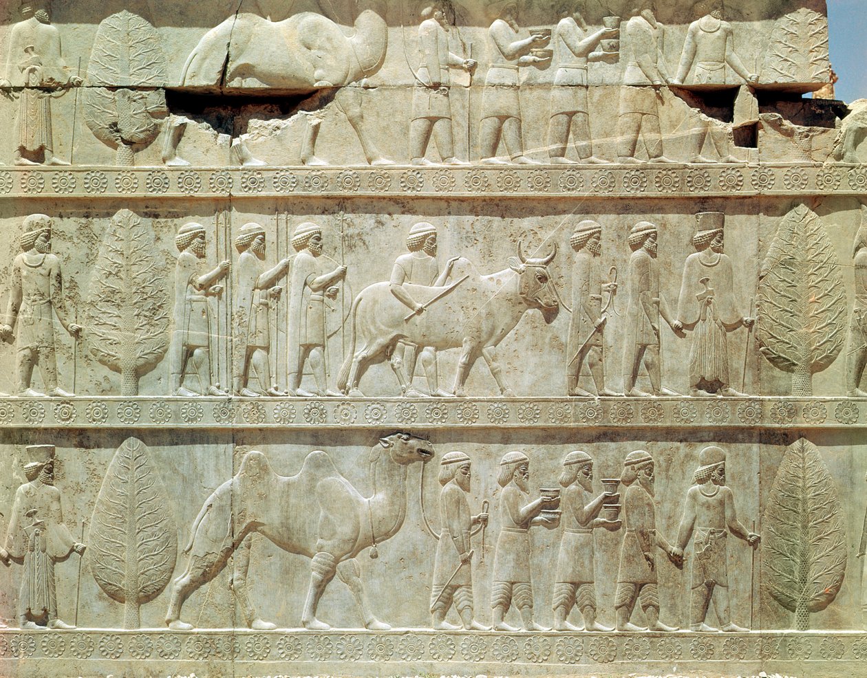 Detalj av reliefffrisen på den østlige trappen til Apadana (publikumssal) som viser delegater fra imperiets emneland med overdådige gaver til en seremoni, akemensk periode, ca. 515 f.Kr. (kalkstein) av School Persian