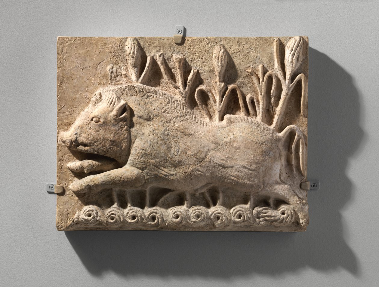 Veggpanel med et ladesvin, ca. 600-tallet e.Kr. (stucco) av School Sasanian