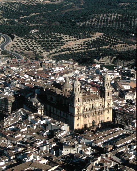 Luftfoto av Jaen-katedralen (bilde) av School Spanish