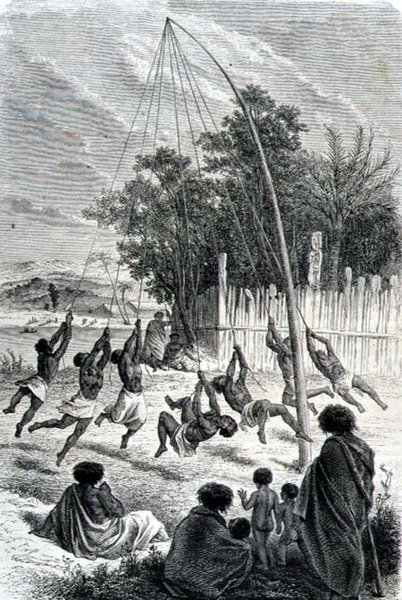 Maori Warriors Playing on a Swing, illustrasjon fra 