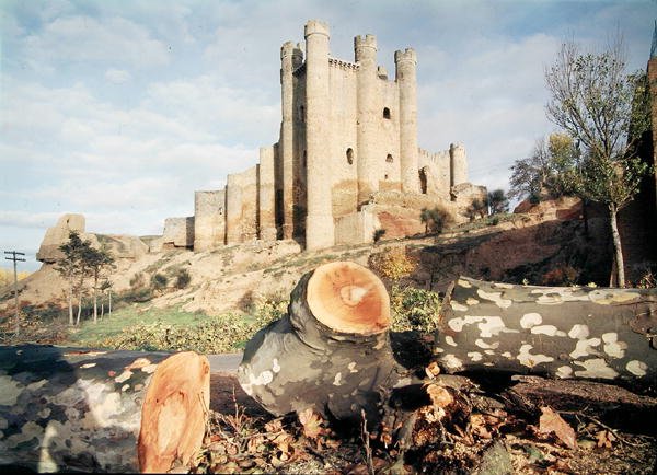 Castillo de Coyanza, bygget fra 1300- til 1400-tallet av grevene av Valencia (bilde) av School Spanish