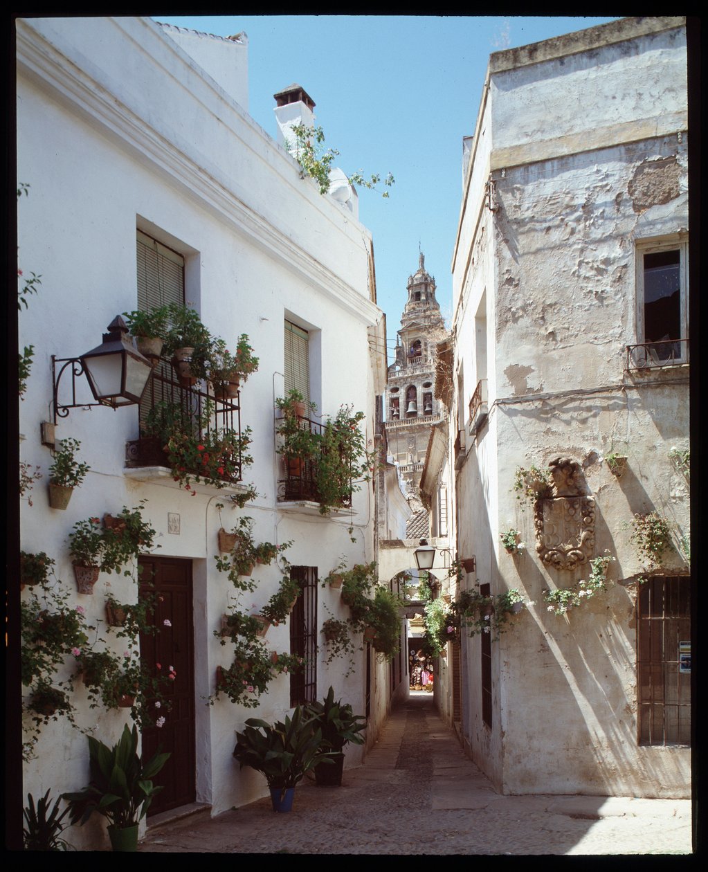 Utsikt over minareten (klokketårnet) til den store moskeen i Omayyades (Mezquita), nå katedralen, fra Calle de los flores """, Cordoba Spania"" (Utsikt over klokketårnet eller minareten til Mosqueð-katedralen (den store moskeen) i Cordoba fra gaten "" call av School Spanish