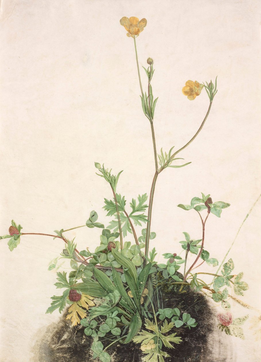  av School of Albrecht Dürer