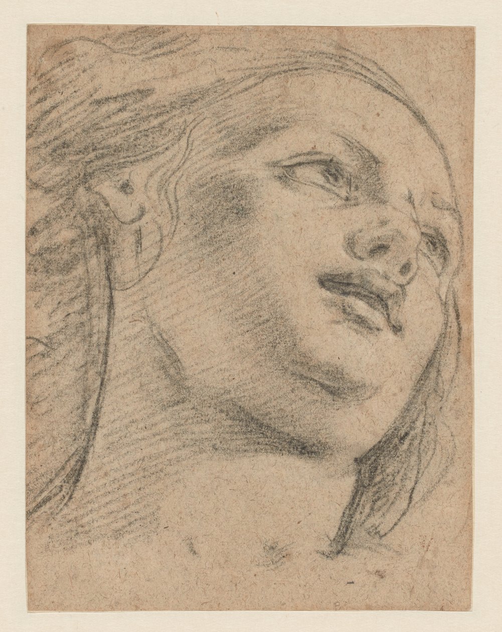 Kvinnelig hodestudium ser opp til høyre (recto); Studie av to figurer som støtter et objekt (verso) av School of Guido Reni