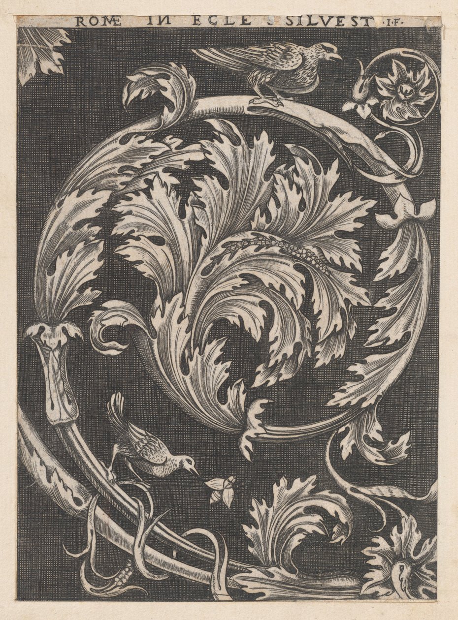 Mirror of Roman Magnificence: Ornamental løvverk fra kirker, 1500-tallet., 1500-tallet. av School of Raphael