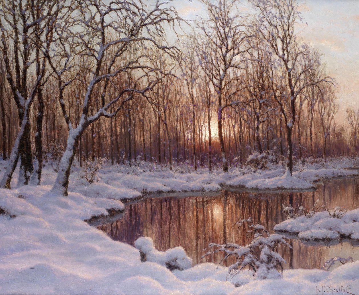 november av Schultze