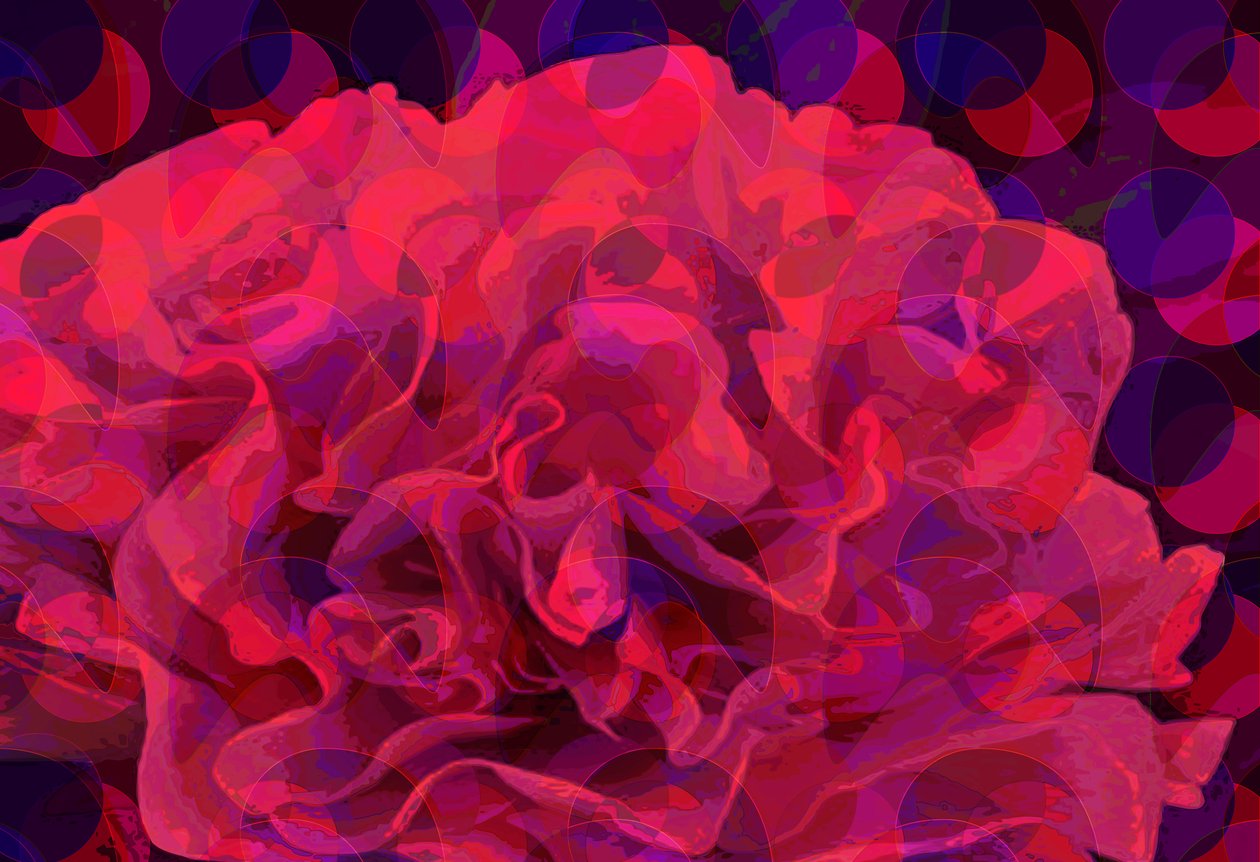 Nellik (digital) av Scott J. Davis