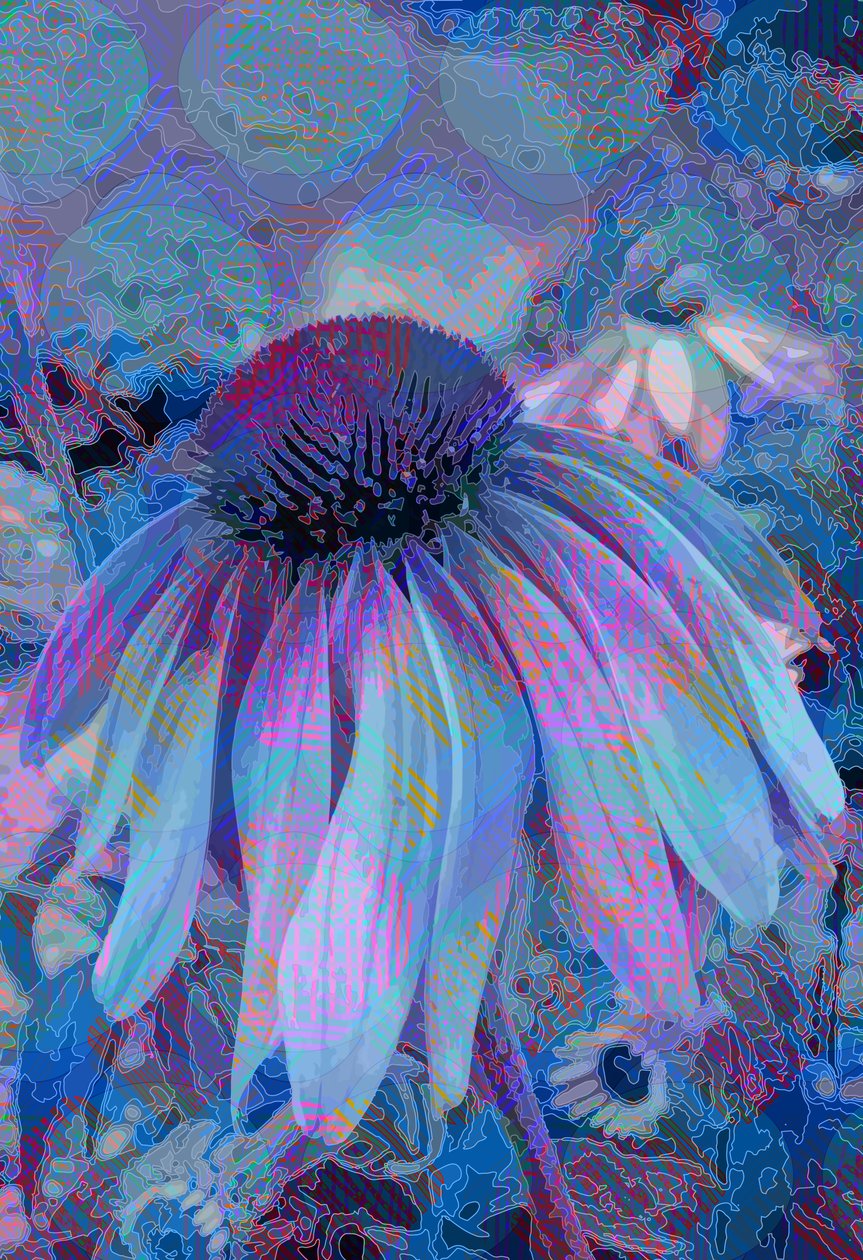 Kjegleblomst av Scott J. Davis