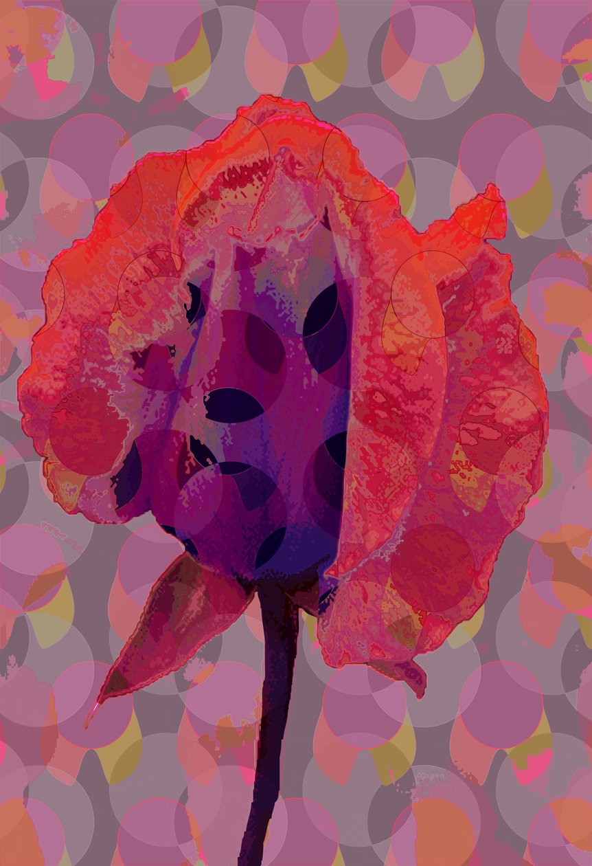 Tea Rose 3 (digital) av Scott J. Davis
