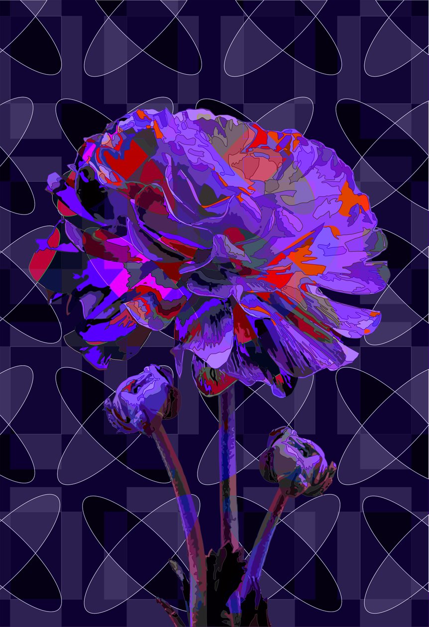 Nellik 2, 2019 av Scott J. Davis