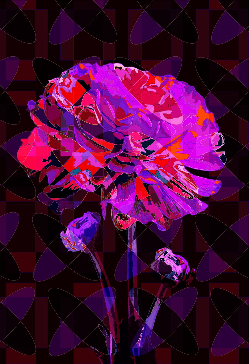 Nellik 4, 2019 av Scott J. Davis