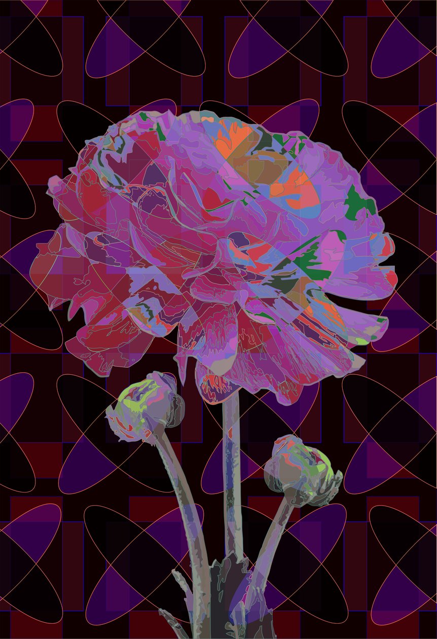 Nellik, 2019 av Scott J. Davis