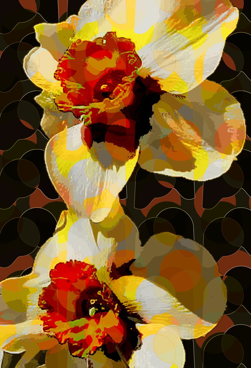 Påskelilje (digital) av Scott J. Davis