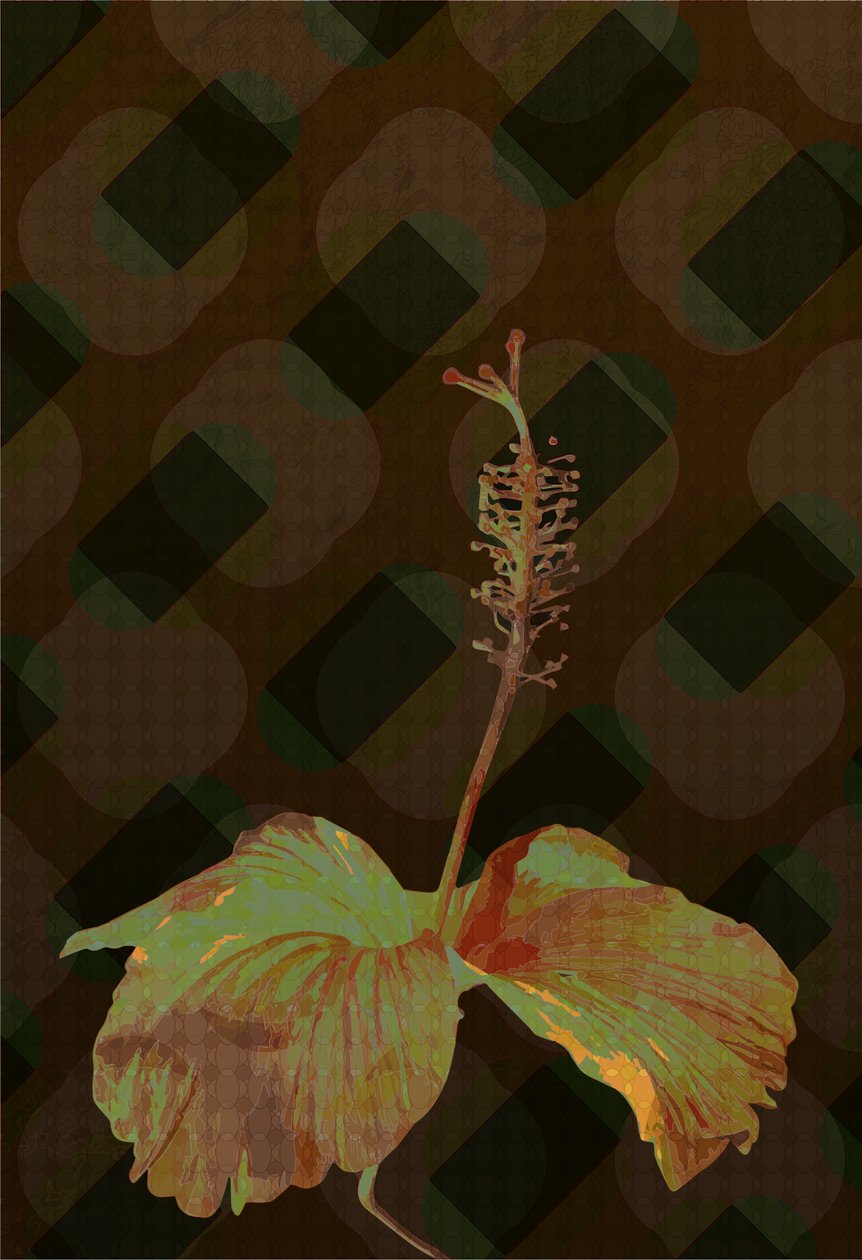 Hibiscus,2 2019 av Scott J. Davis