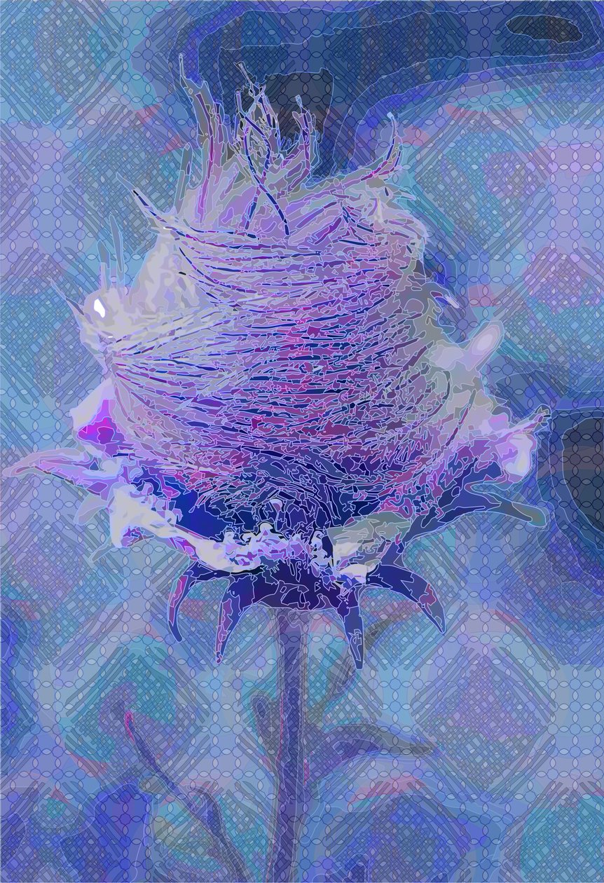 Wood Avens,2 2019 av Scott J. Davis