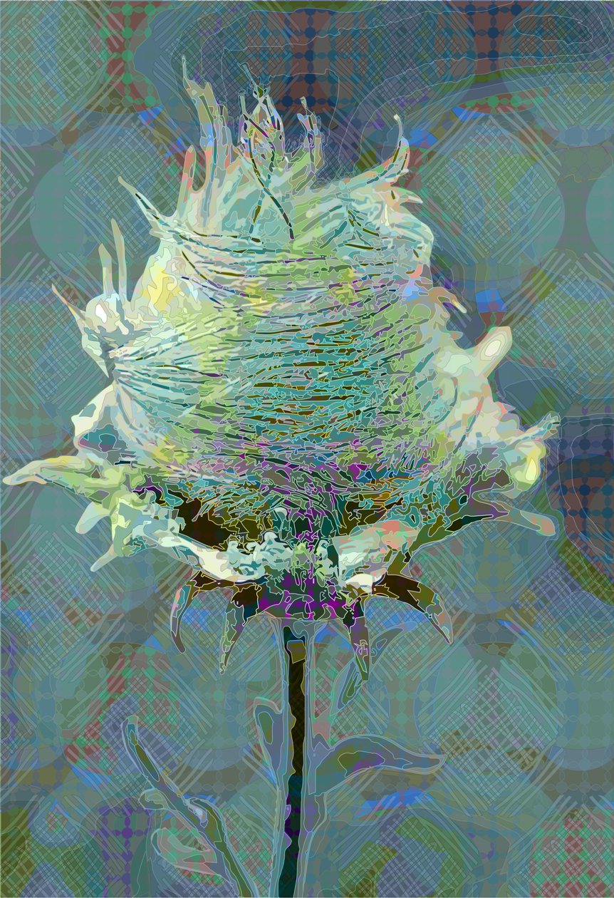 Wood Avens3, 2019 av Scott J. Davis