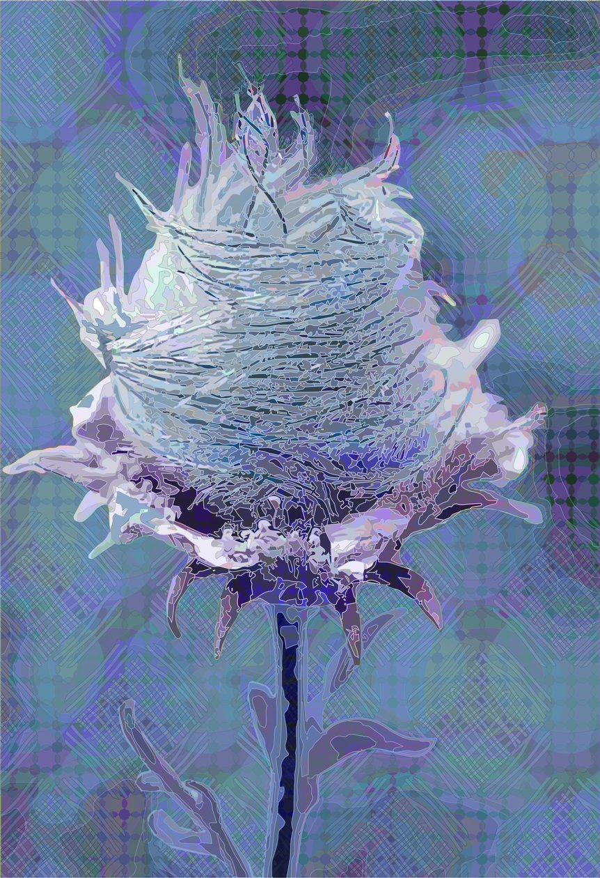 Wood Avens4, 2019 av Scott J. Davis