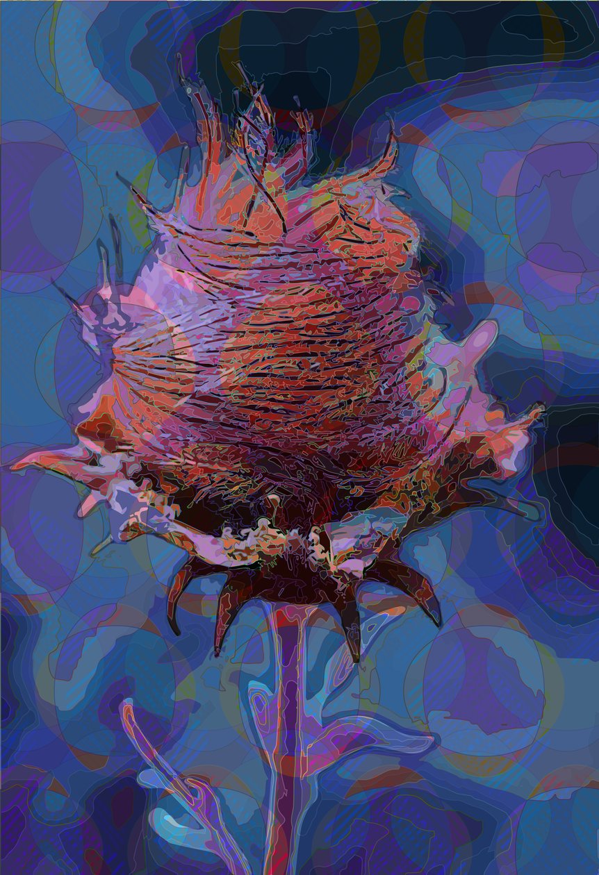 Wood Avens, 2019 av Scott J. Davis
