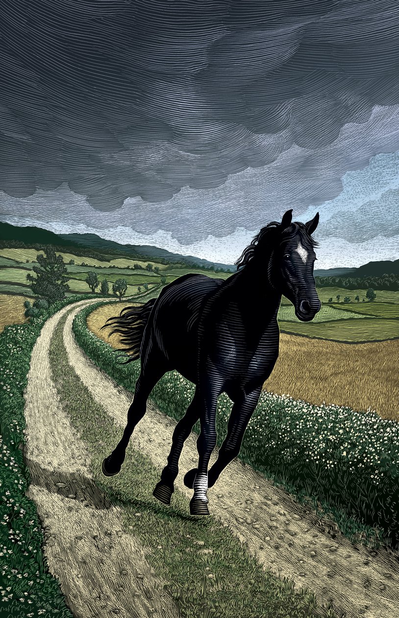 Black Beauty, 2004 (skrapebrett, digitalt fargelagt) av Scott McKowen